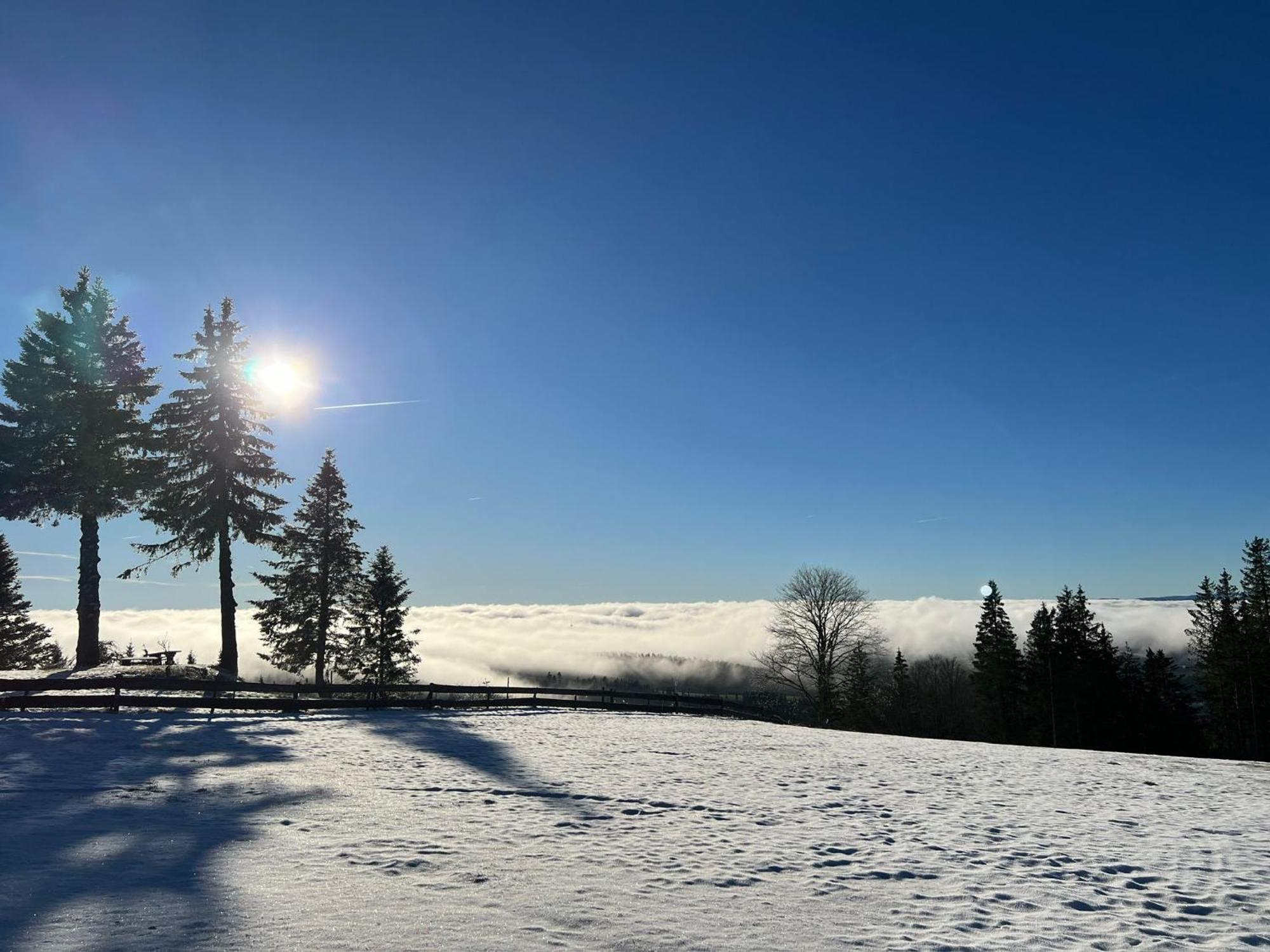 Naturfreundehaus Brend Furtwangen im Schwarzwald Zewnętrze zdjęcie