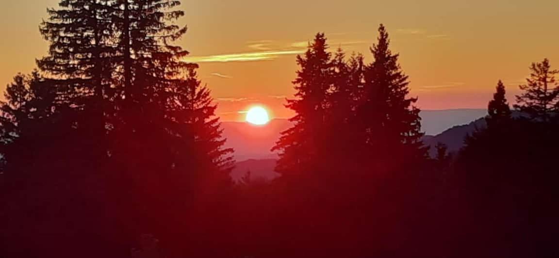 Naturfreundehaus Brend Furtwangen im Schwarzwald Zewnętrze zdjęcie
