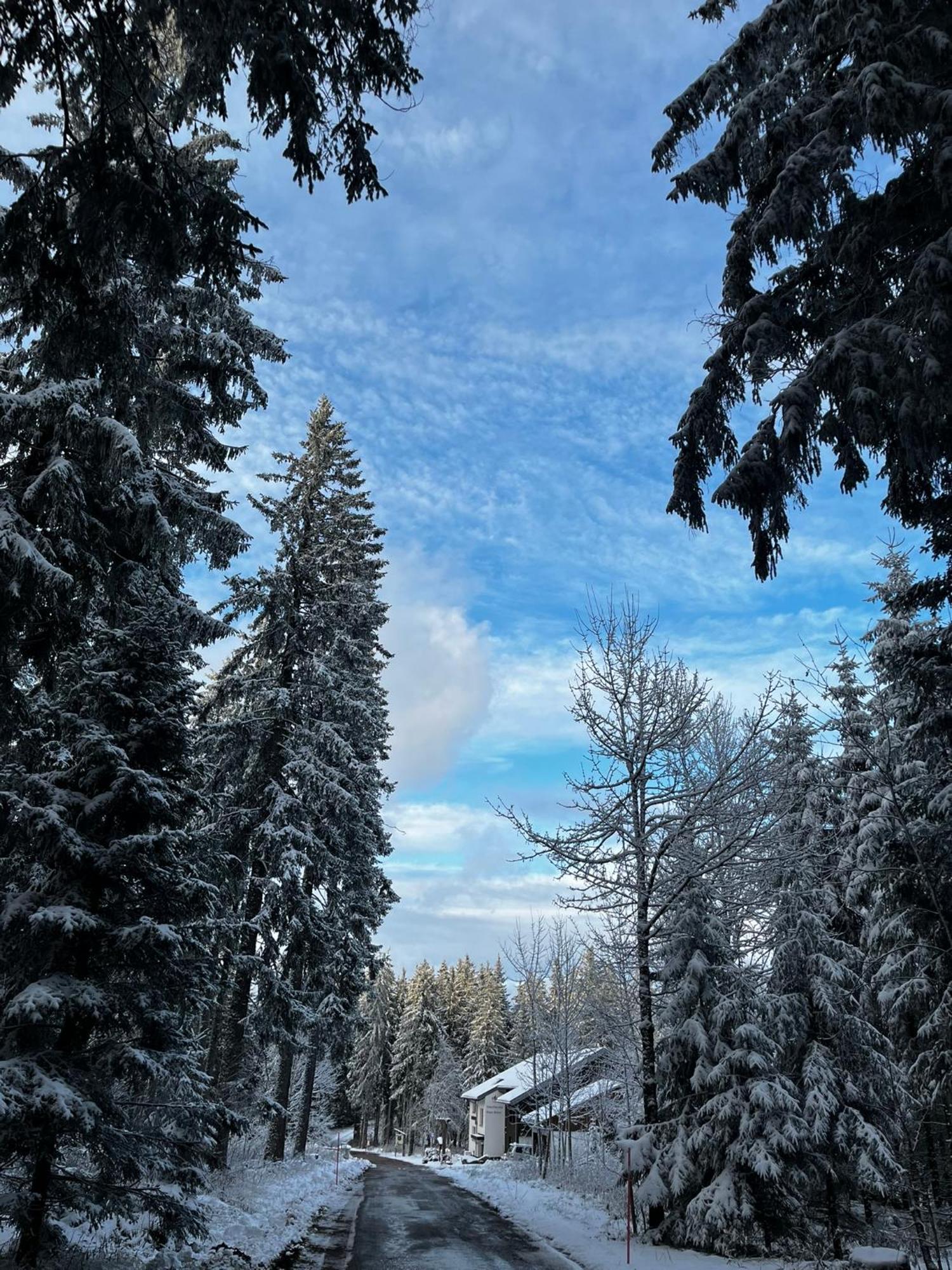 Naturfreundehaus Brend Furtwangen im Schwarzwald Zewnętrze zdjęcie